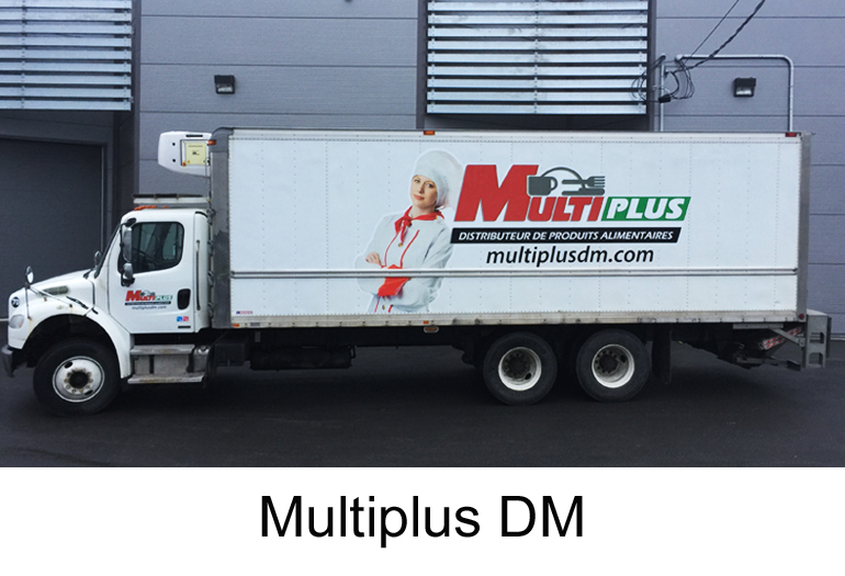 Multiplus DM